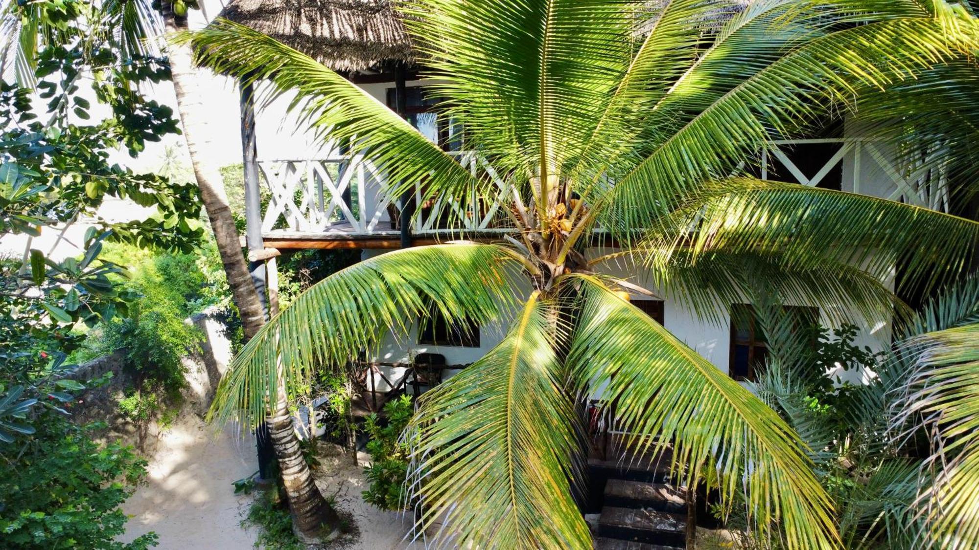 The Seles Boutique Hotel Gazija Εξωτερικό φωτογραφία