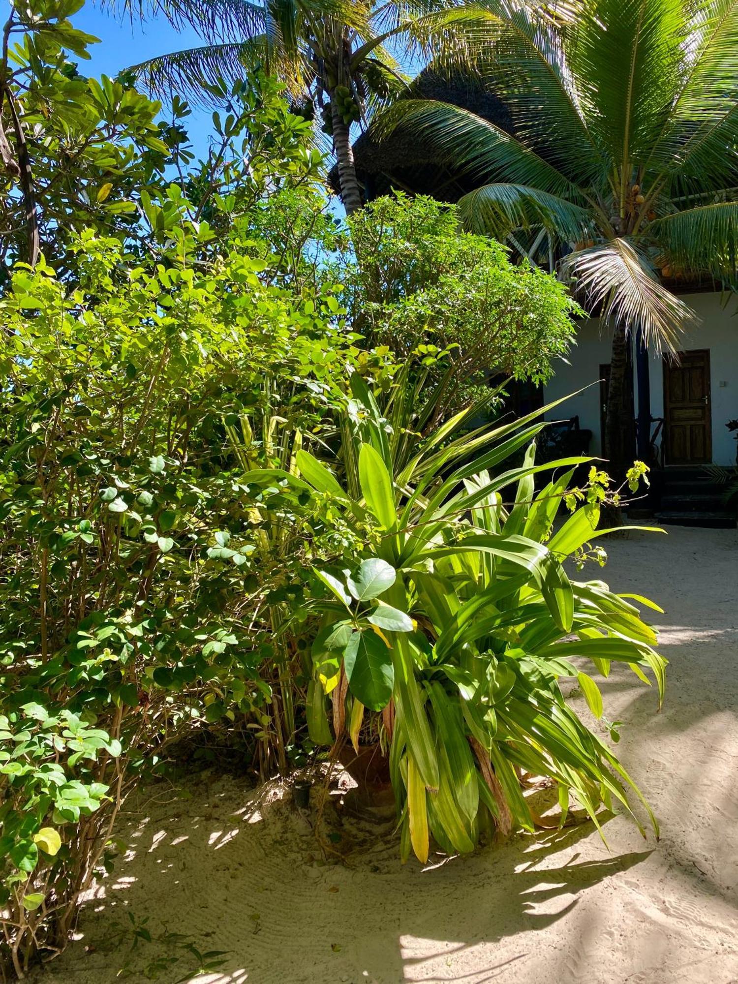 The Seles Boutique Hotel Gazija Εξωτερικό φωτογραφία